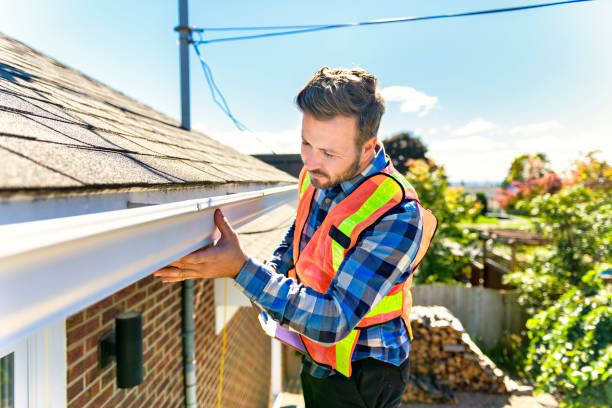 Best Roof Moss and Algae Removal  in Cao, ND